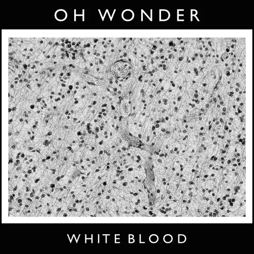10. White Blood - Oh Wonder