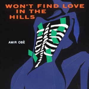 Won't Find Love in the Hills - Amir Obè