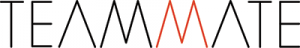 TeamMate logo