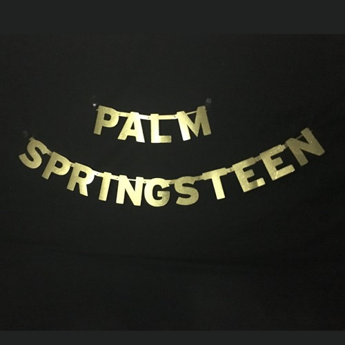 Palm Springsteen band
