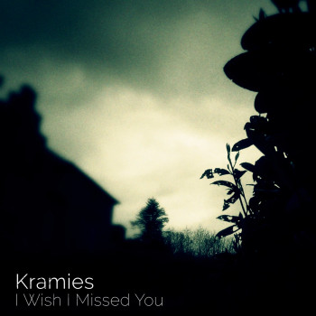 I Wish I Missed You - Kramies