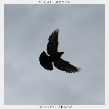 Tearing Seams - Micah McCaw