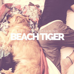Easy Livin' Dreaming - Beach Tiger