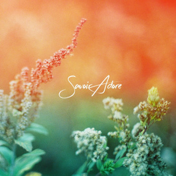 Savoir Adore - Full Bloom Cover Art