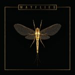 Mayflies - The Bergamot