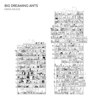 Big Dreaming Ants - Nana Adjoa