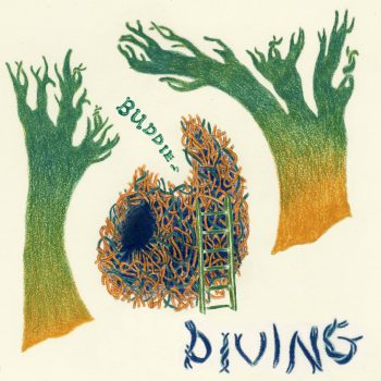 Diving - Buddie