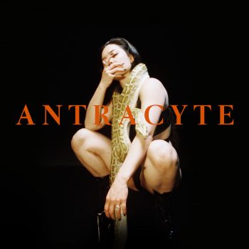 ANTRACYTE - Mulay