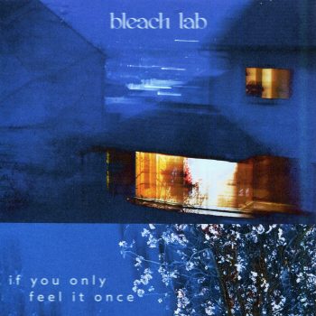 If You Only Feel It Once - Bleach Lab