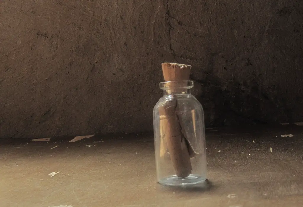 Message in a Bottle - Isolation and Art
