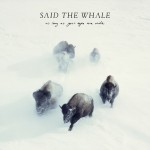 As Long As Your Eyes Are Wide - Said The Whale
