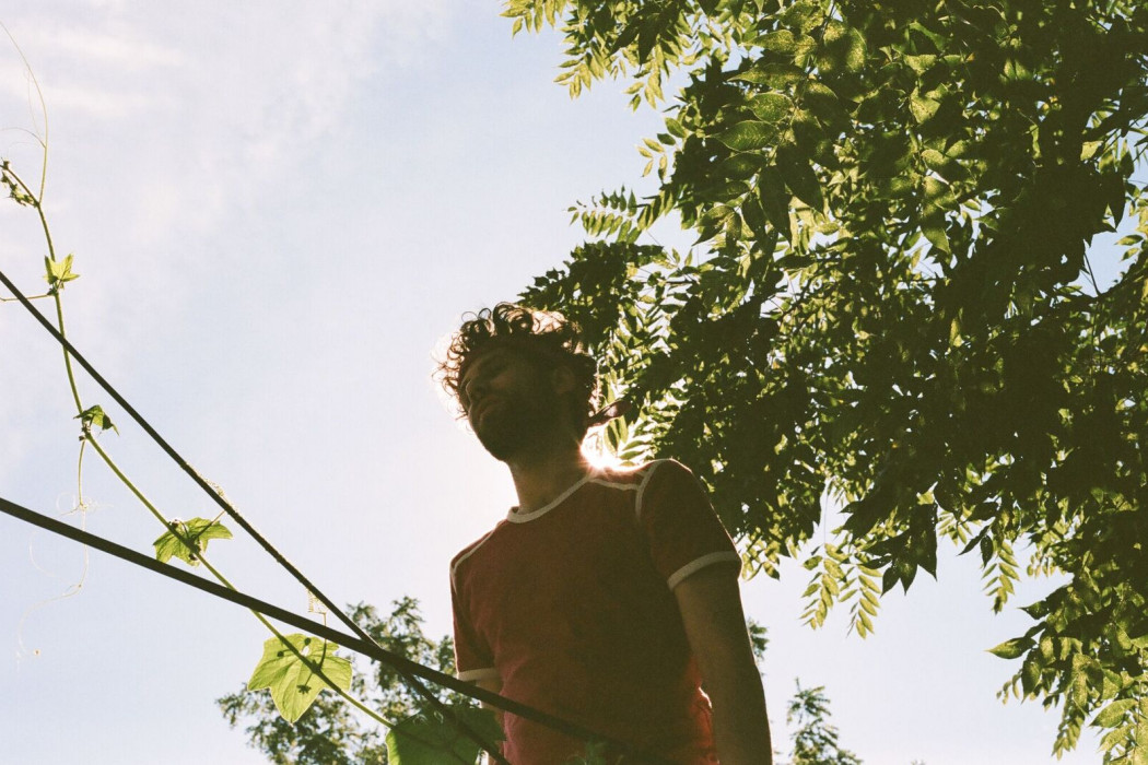 Yellow Shoots © Joe Chernus