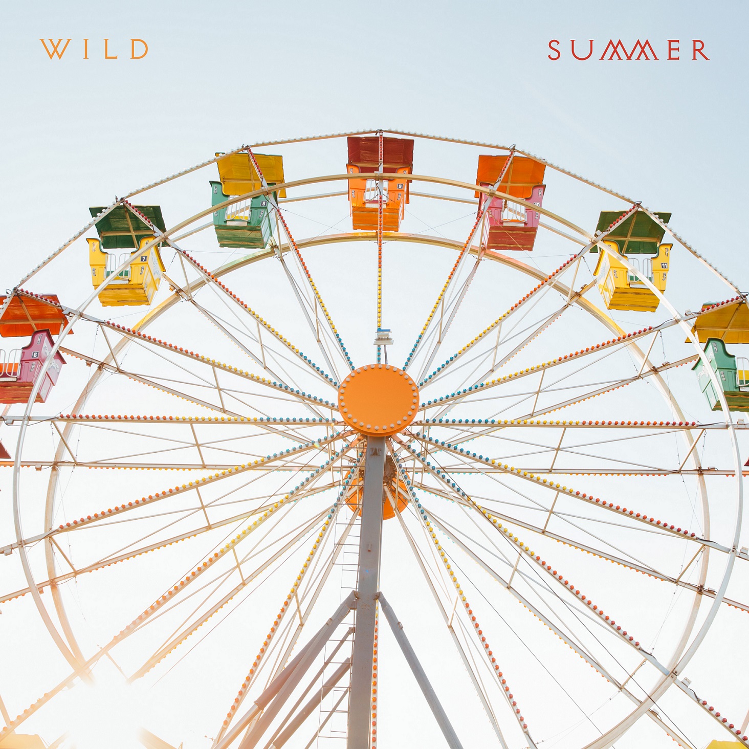 Summer - Wild