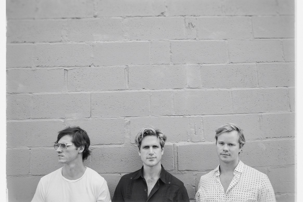 VHS Collection © Shervin Lainez