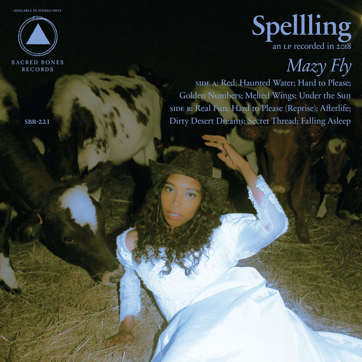 Mazy Fly - SPELLLING