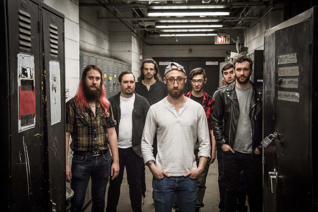 Old Fox © Liam Noonan