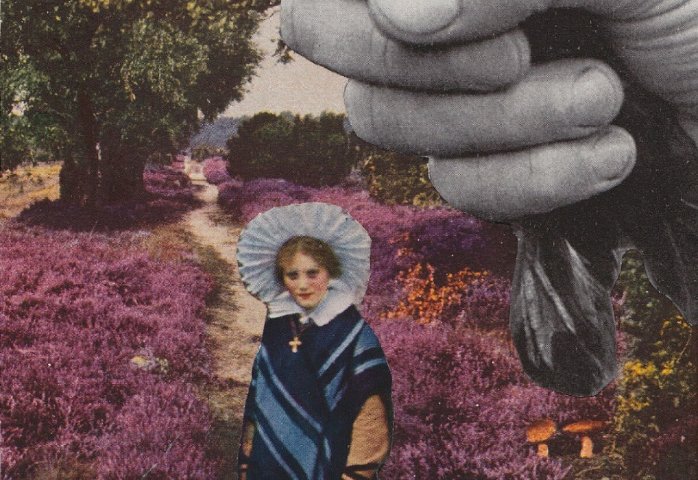 Cicada Songs - Trevor Sloan