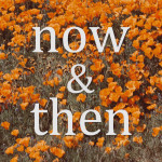 Now & Then - Lily Kershaw