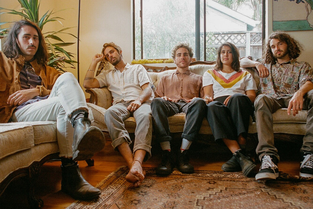 Getaway Dogs © Andrew Hawes