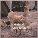 Animal - Alex Bayly