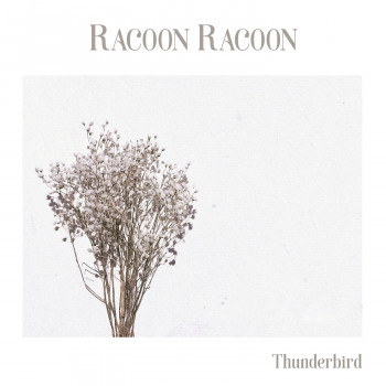Thunderbird - Racoon Racoon