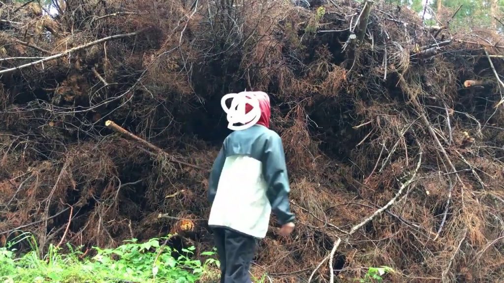 Premiere Casey Dubie's Moving "Confetti" Cherishes Fleeting Love