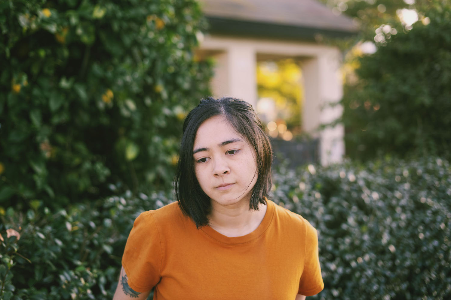 Mini Trees © Shab Ferdowsi