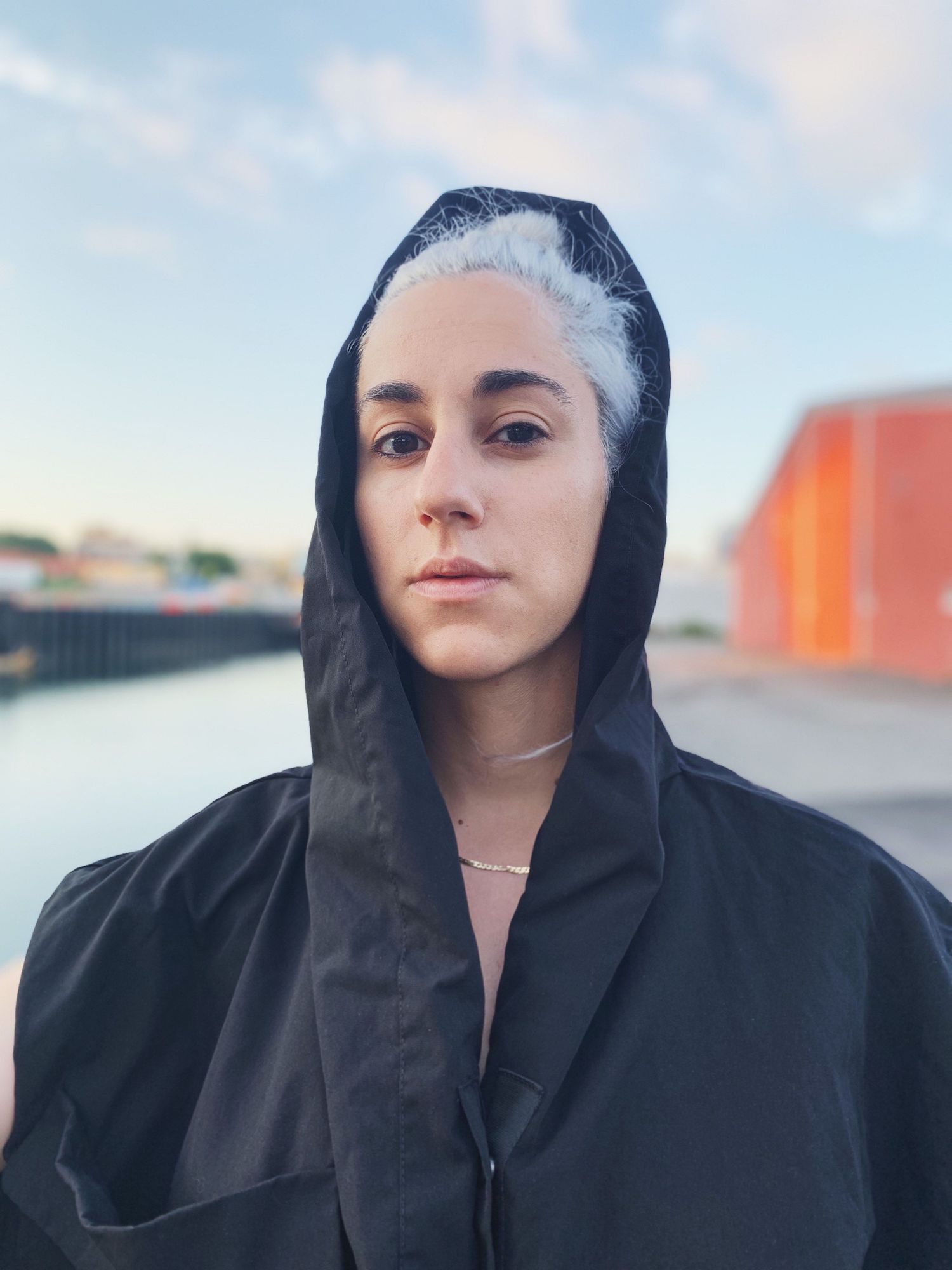 Track-by-Track: NYC's R O N I Captivates with Sleek & Seductive 'Crown ...