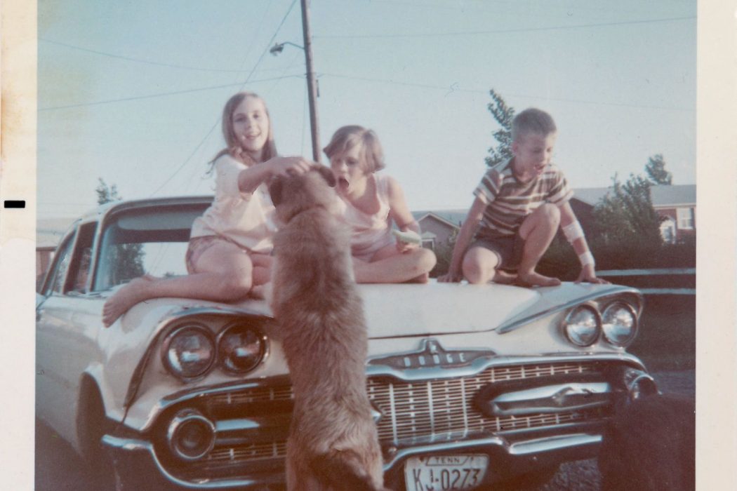 Home Team - Creature Comfort