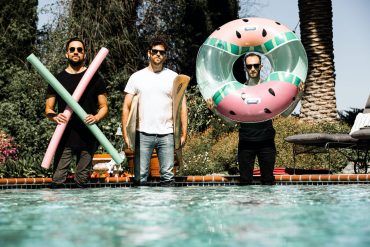 Wax Owls © Bernadette Marciniak