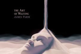 The Art of Waiting - James Parm