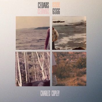 Cedars 6S66 - Charles Copley
