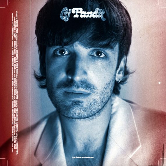 Just Before You Disappear - Cj Pandit