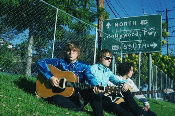 Velvet Starlings © Megan Blanchard