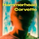 Hammerhead Corvette - Well Kept