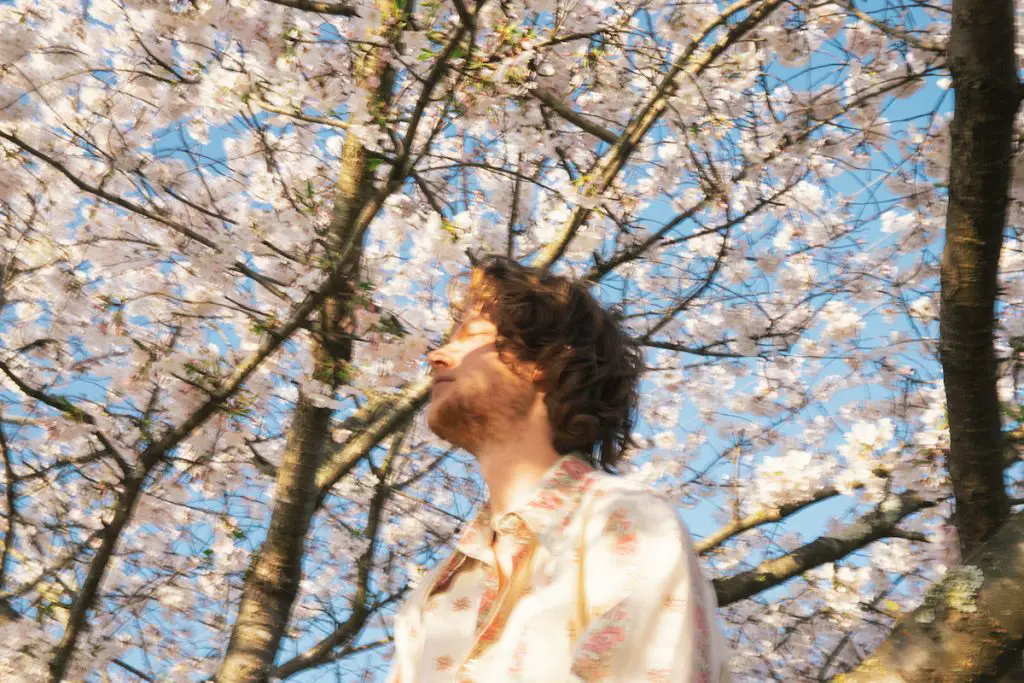 “Colorful, Nostalgic, & Spacious”: Jack Van Cleaf Premieres His Radiantly Raw Debut Album, ‘Fruit from the Trees’