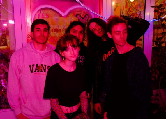 Little Fuss © Tori Spadaro