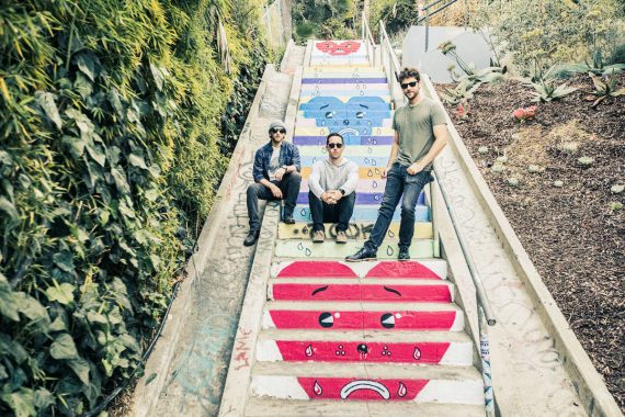 Wax Owls © Bernadette Marciniak