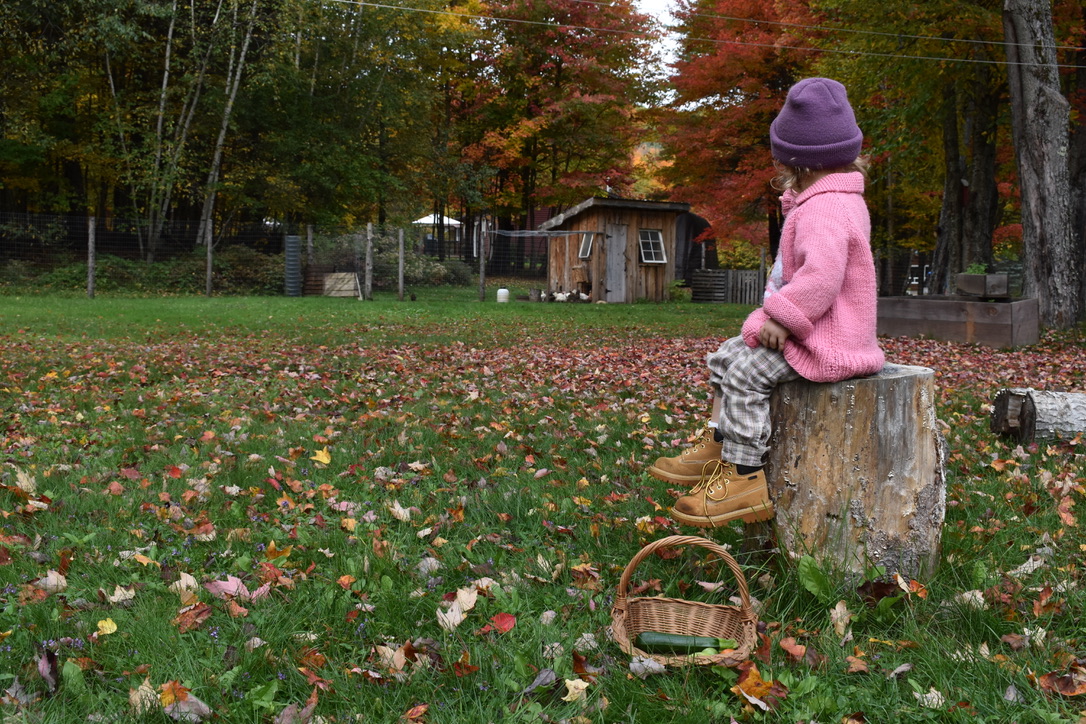 Alexz Johnson at Home 3