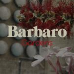 Gardens - Barbaro