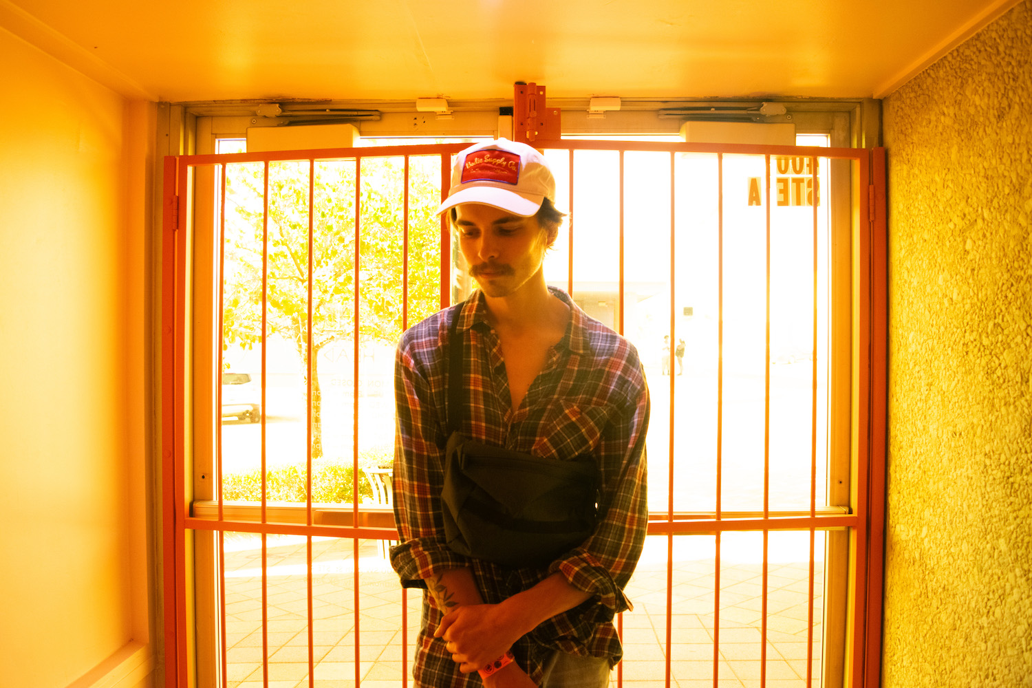 Jaguar Sun © Chris Minielly