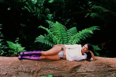 Maple Glider © Bridgette Winten