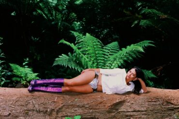 Maple Glider © Bridgette Winten