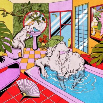 Sorry Like You Mean It - HONEYMOAN