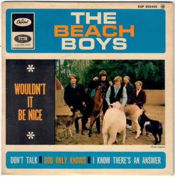 Wouldn't It Be Nice - The Beach Boys
