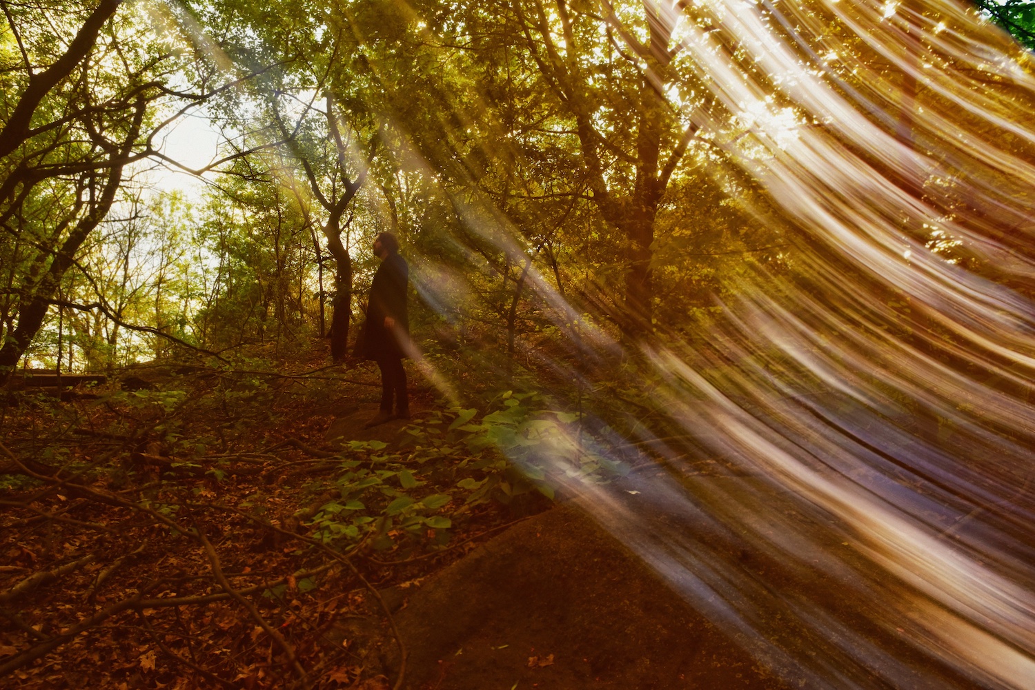 Coyle Girelli © Shervin Lainez