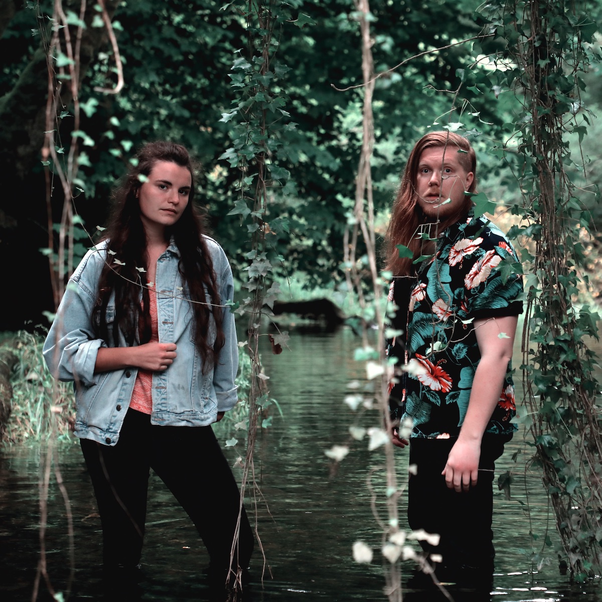 Firewoodisland © Dave Newbould