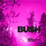 Loaded - Bush