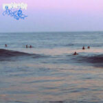 The Start Over - Mumble Tide