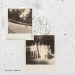 Easier Said - Subtle Orange